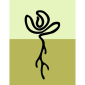 Logoiap